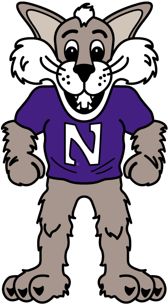 Northwestern Wildcats 1998-Pres Mascot Logo diy fabric transfer